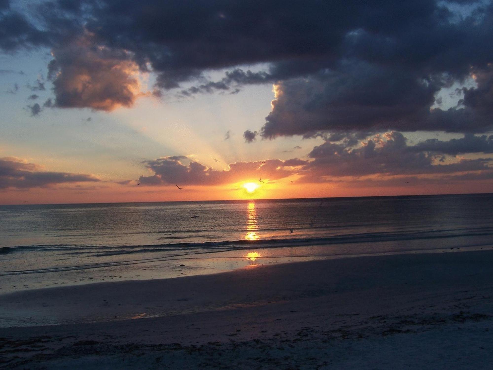 Tropical Beach Resorts - Sarasota Siesta Key Eksteriør bilde